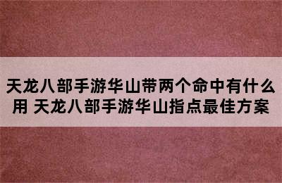 天龙八部手游华山带两个命中有什么用 天龙八部手游华山指点最佳方案